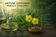 Aktivne supstance biljke Tribulus terrestris i steroidni saponini