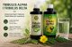 Tribulus Alpha i Tribulus Delta – vodeni ekstrakti Tribulus terrestrisa bez alkohola