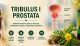 Tribulus i prostata – zdravlje prostate i urinarni sistem muškarca