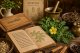 Tradicionalna upotreba biljke Tribulus terrestris za podršku vitalnosti i izdržljivosti